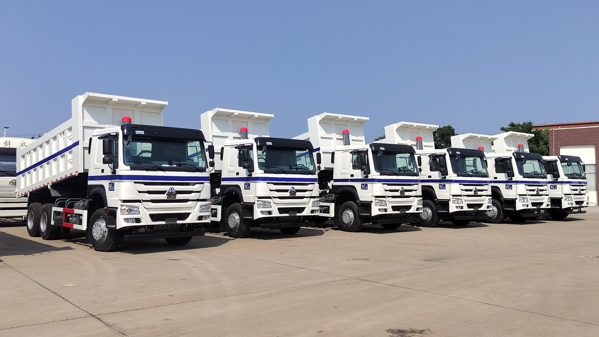 Zákazník zo Saudskej Arábie kontroluje sklápač HOWO 20 ton